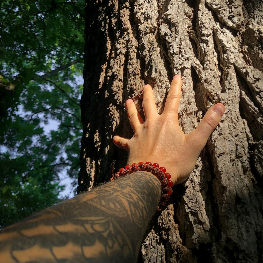 Une sagesse ancienne, confirmée par la science moderne