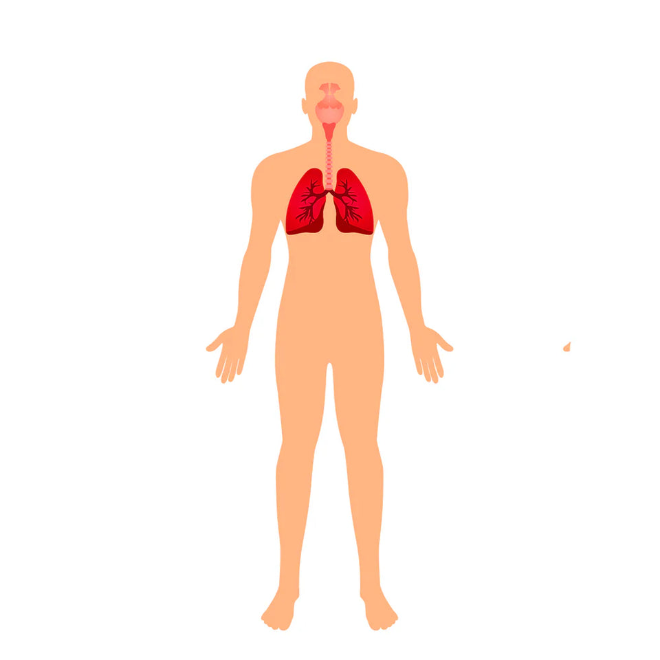 Respirez plus librement, naturellement